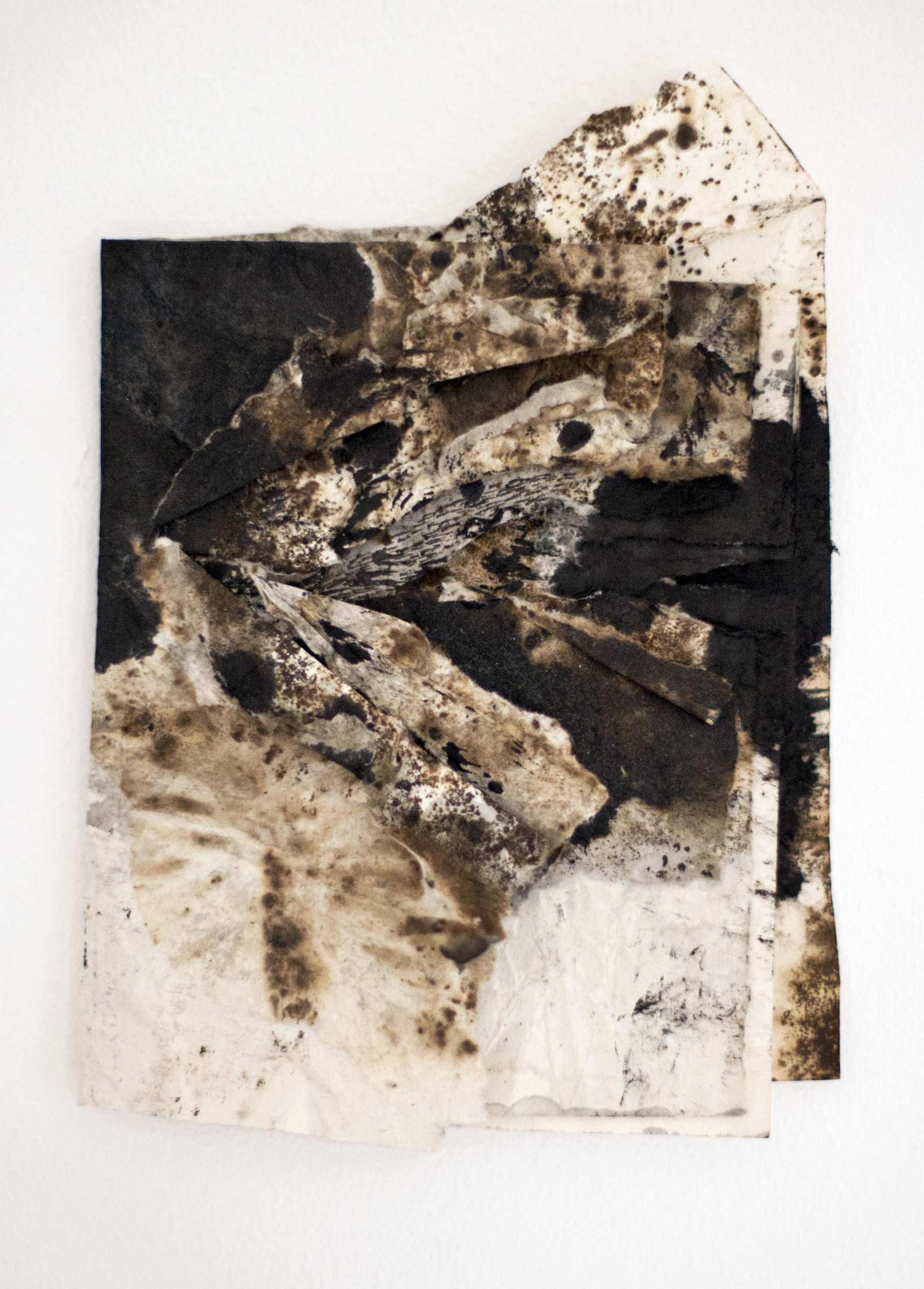 Elegy for Mother Earth II