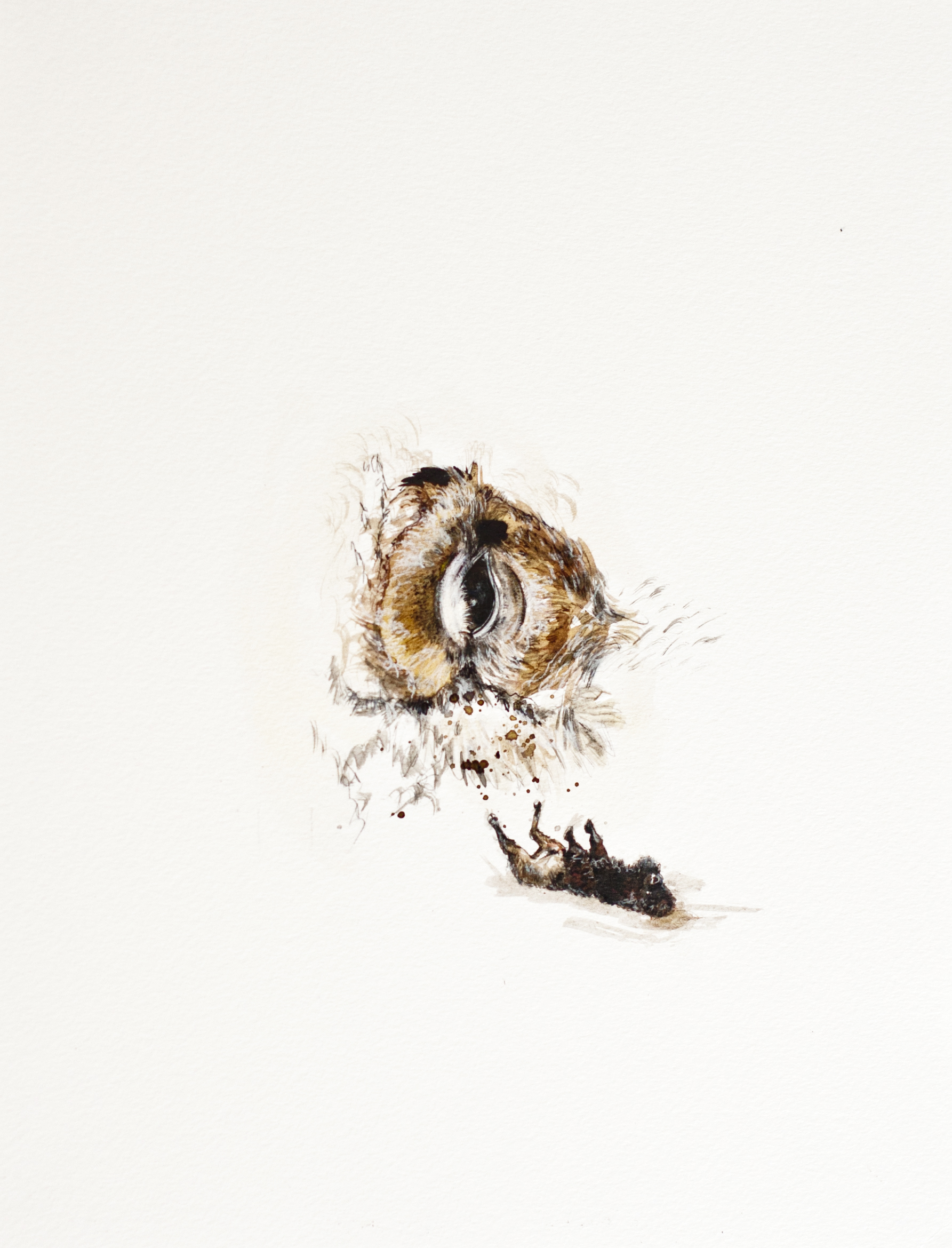 Animality I