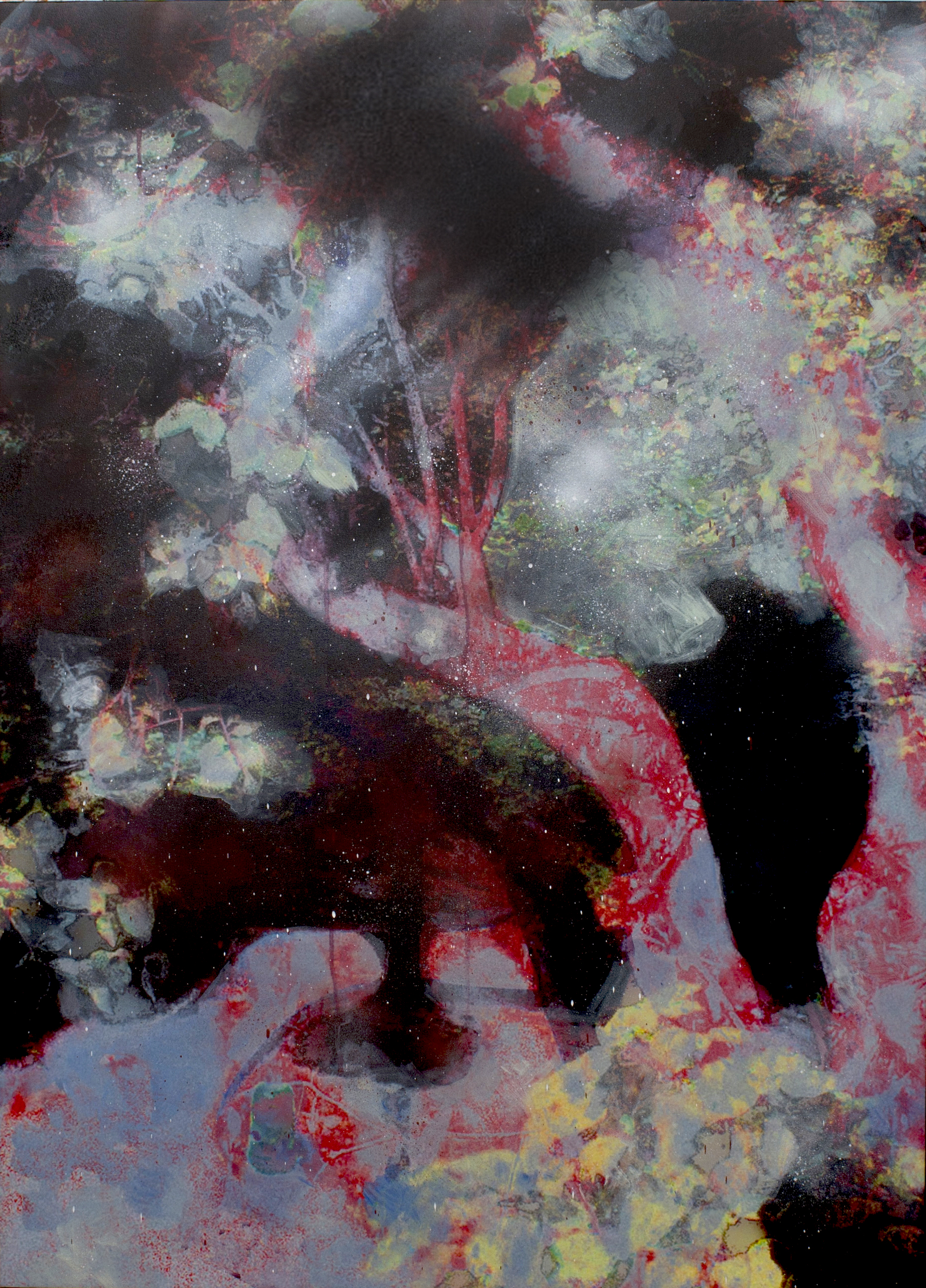 Red Tree
