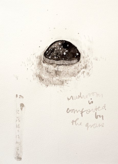 Compassion for Nature II