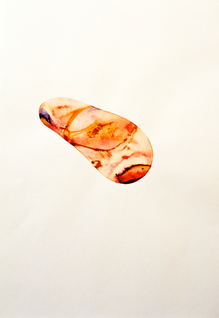If a Vegetable Could Feel