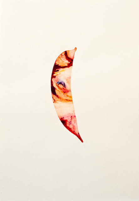 If a Vegetable Could Feel