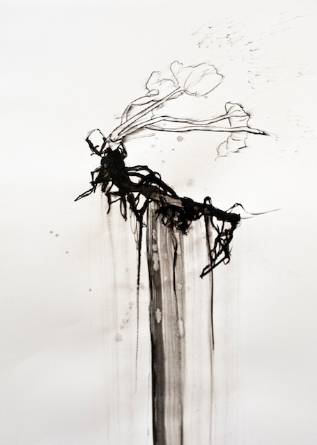 Back to the Soil III