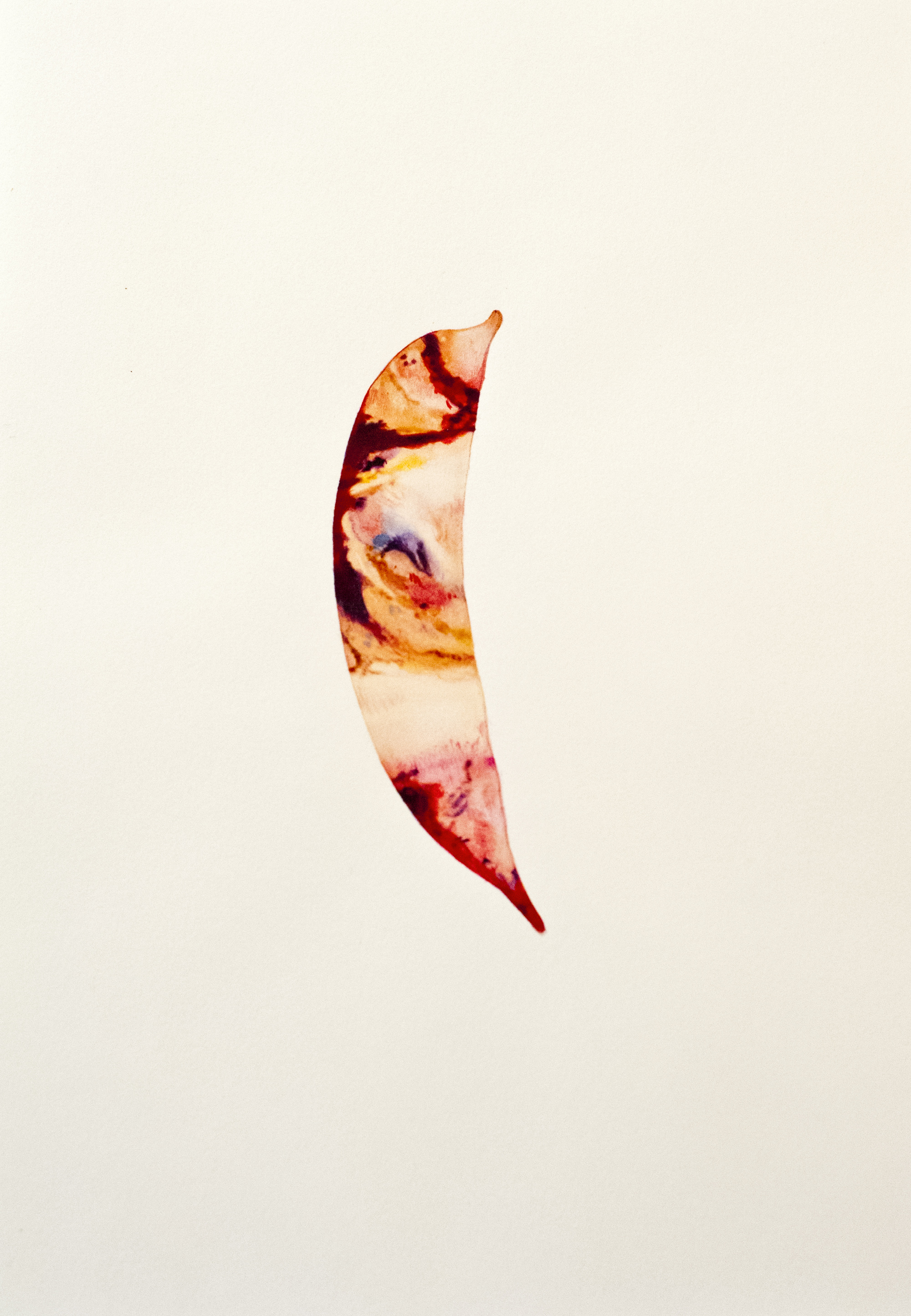 If a Vegetable Could Feel
