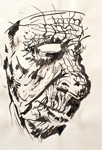 Lines