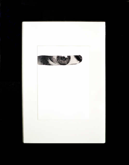 Thin Line Between Beauty and Horror