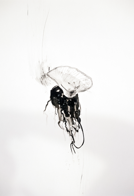 Jellyfish II