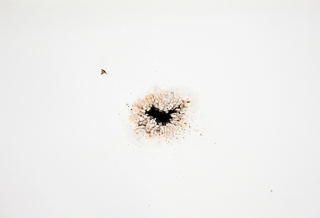 This Violence is a Calm III