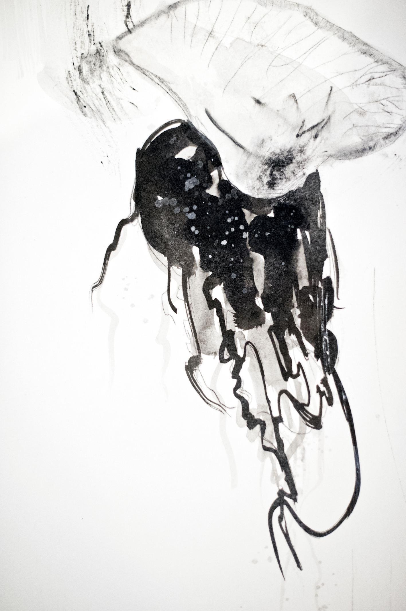 Jellyfish II
