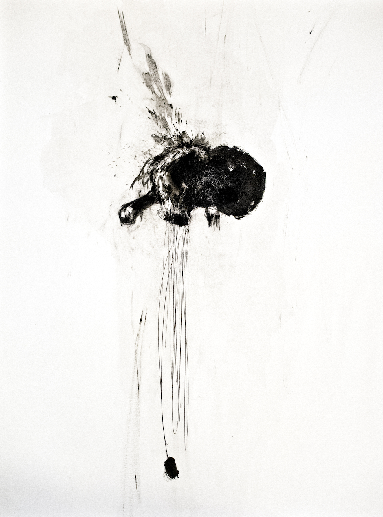 Animality I
