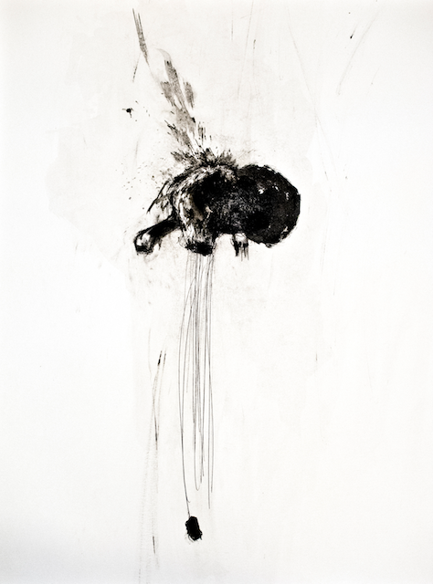 Animality I