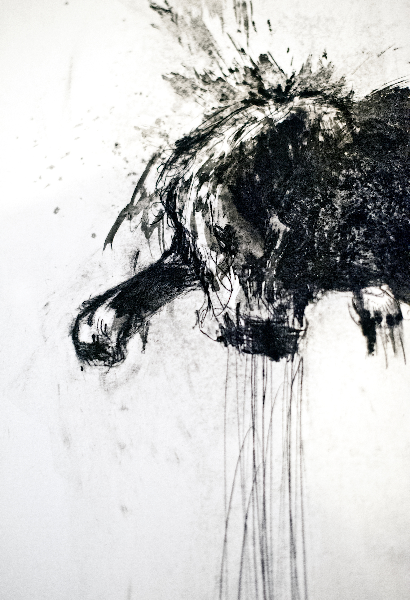 Animality I