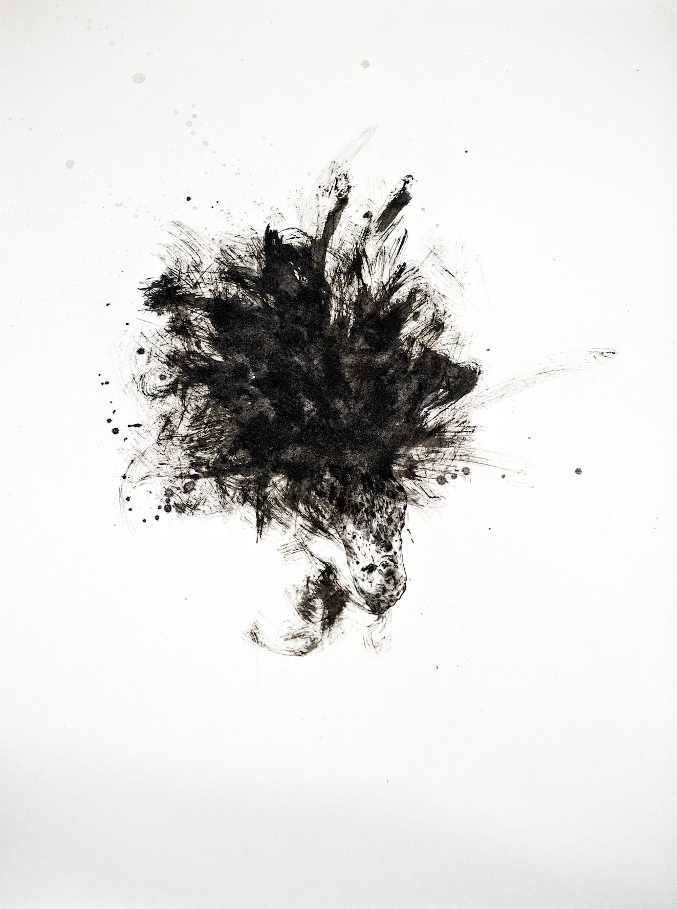 Animality II