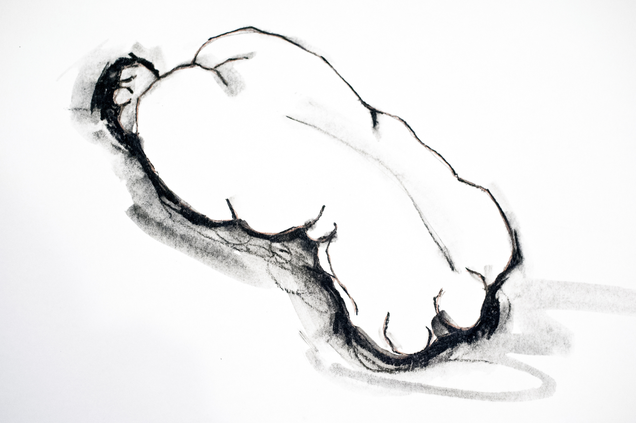 Study of Body in Pain II