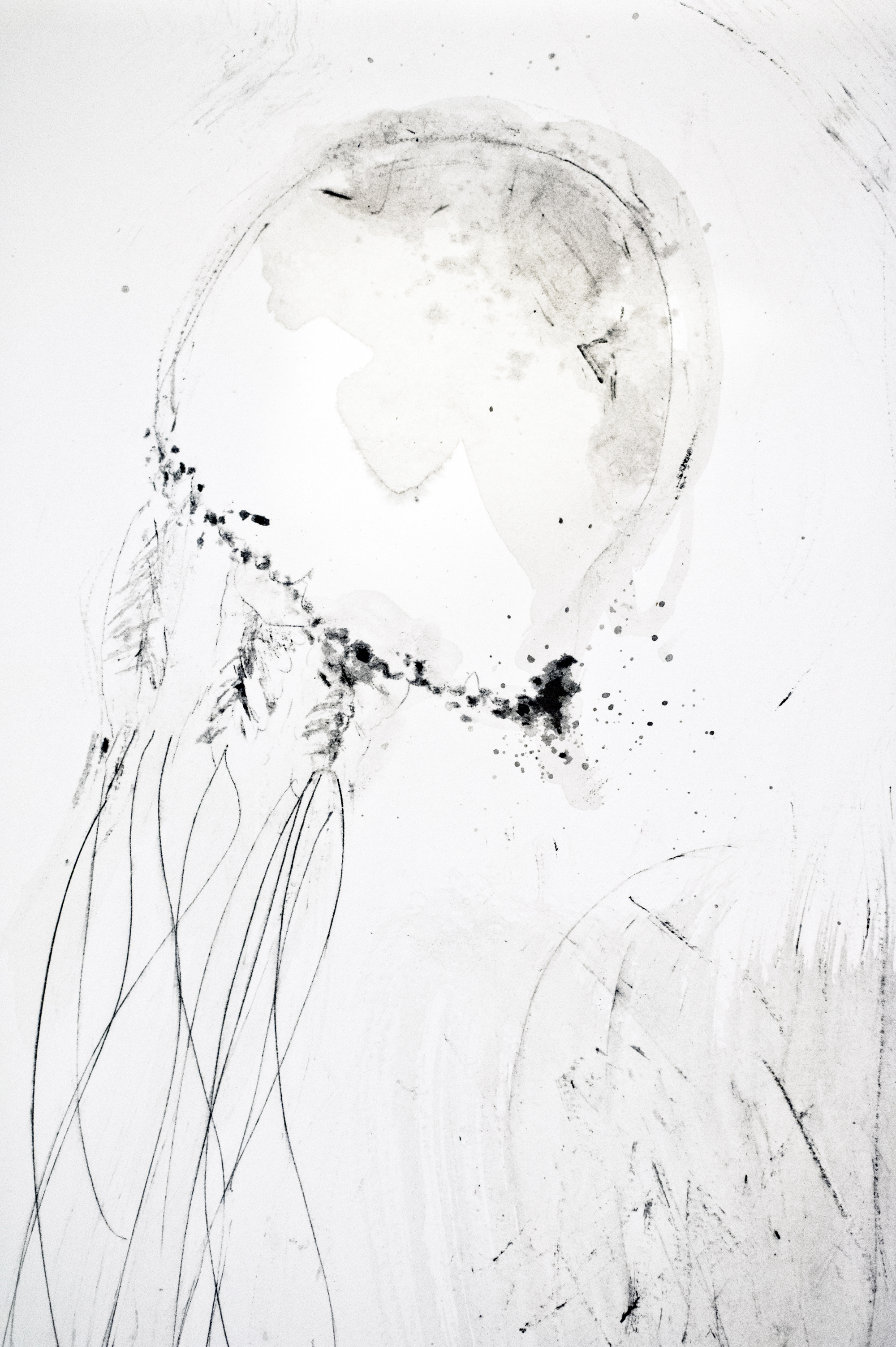 Jellyfish I